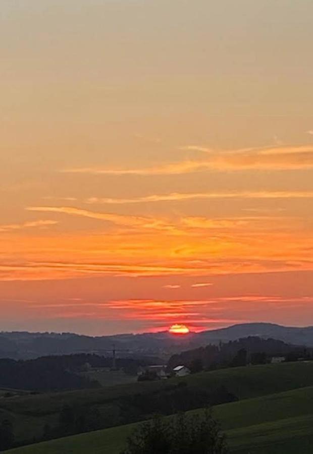 Fh Ausblick Villa Waldkirchen Eksteriør bilde
